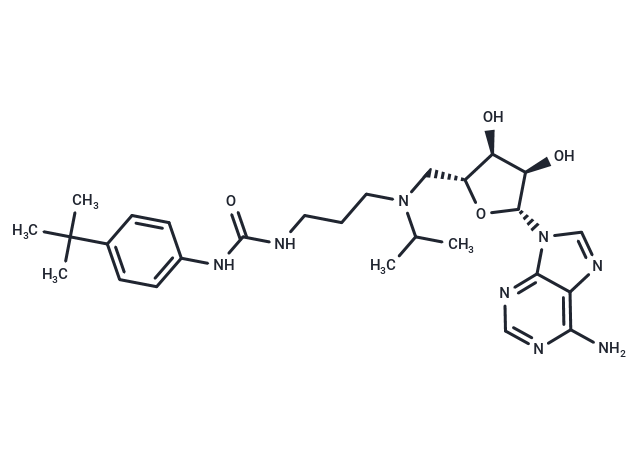 EPZ-4777