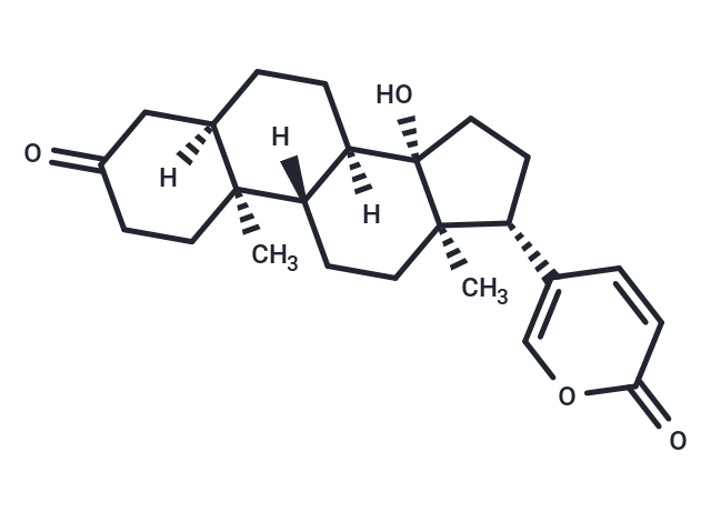 3-Oxo-bufalin