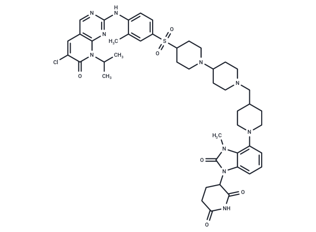 CDK2 degrader 2