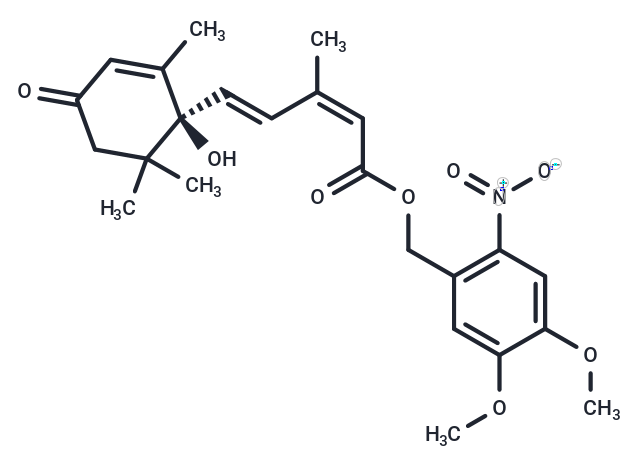 ABA-DMNB