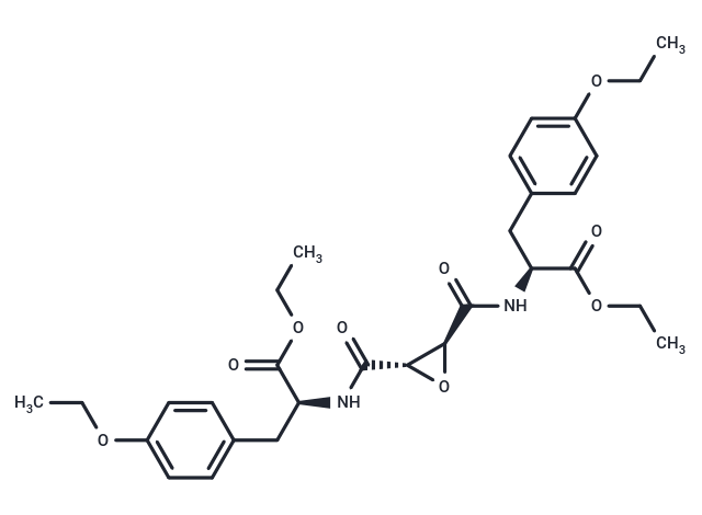 SVC-02