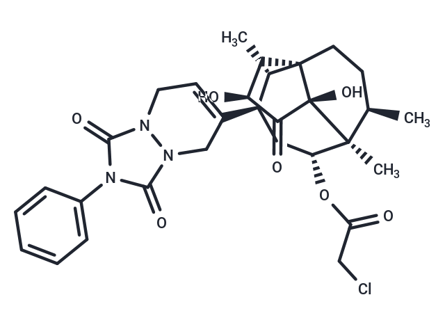 Ferroptocide