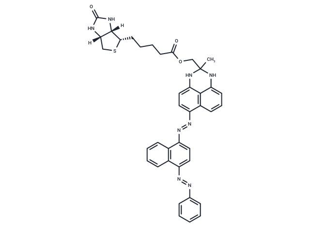 SBB-Analogue (GL13) Biotin