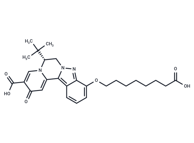 HBV-IN-46