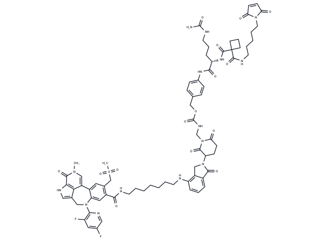 CDLI-5