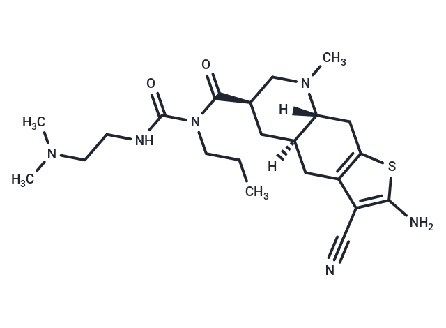 Matsupexolum