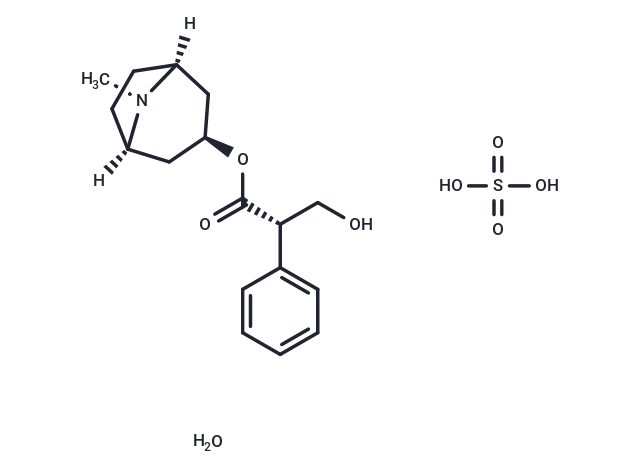 L-Hyoscyamine sulfate hydrate