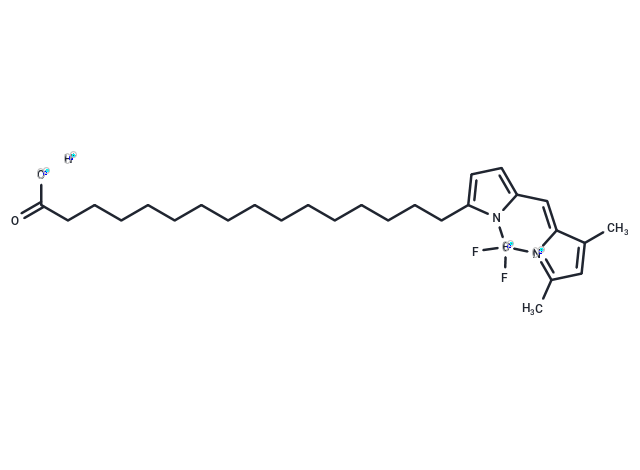 BODIPY FL-C16