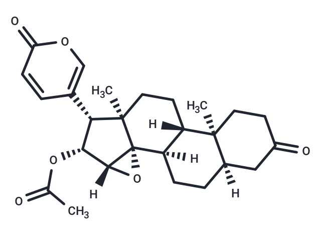 3-Oxo-cinobufagin