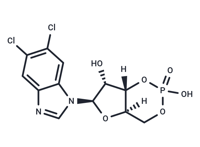 5,6-DCl-cBIMP