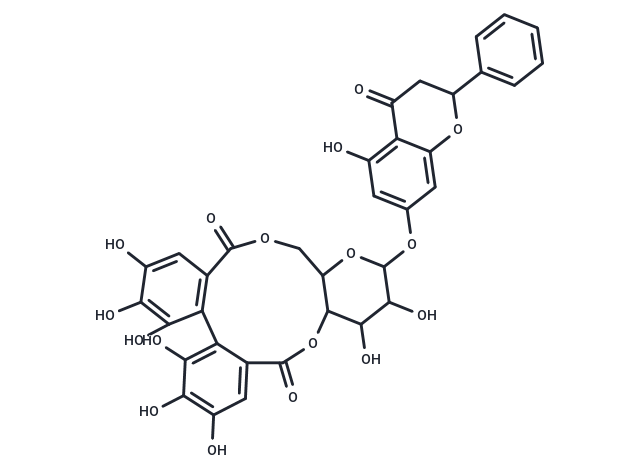 Pinocembrin 7-O-[4",6"-(S)-HHDP]-β-D-glucoside