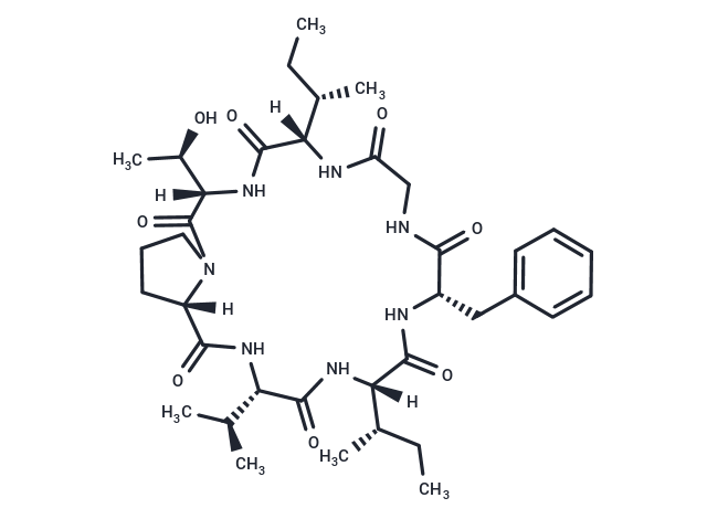 Heterophyllin A