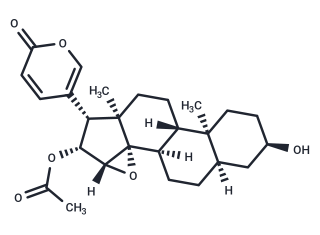 3-Epicinobufagin