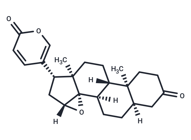 3-Oxo-resibufogenin