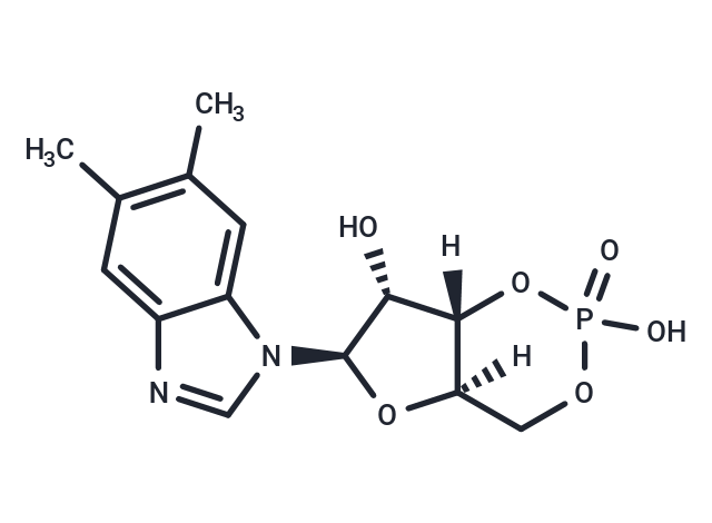 5,6-DM-cBIMP