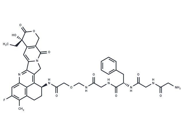 Gly-Gly-Phe-Gly-NH-O-CO-Exatecan