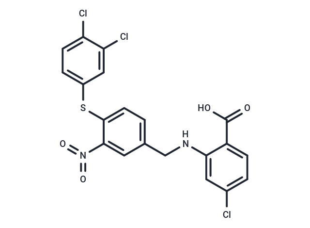 CUHK242