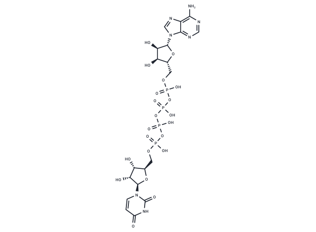 Uridine adenosine tetraphosphate