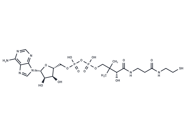 Dephospho-CoA