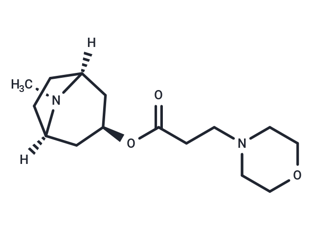 LK 11