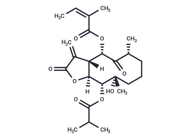 Cernuumolide J