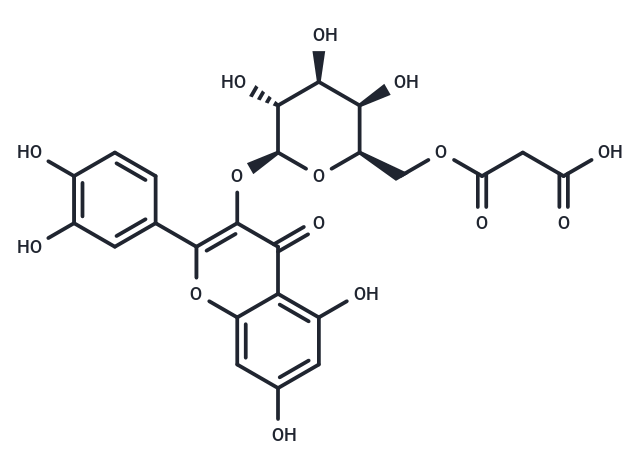 Quercetin 3-O-(6-O-malonyl-β-D-galactoside)