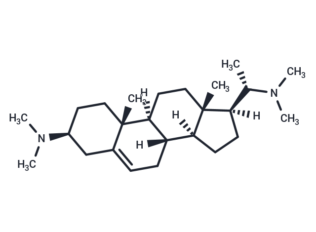 Kurchessine