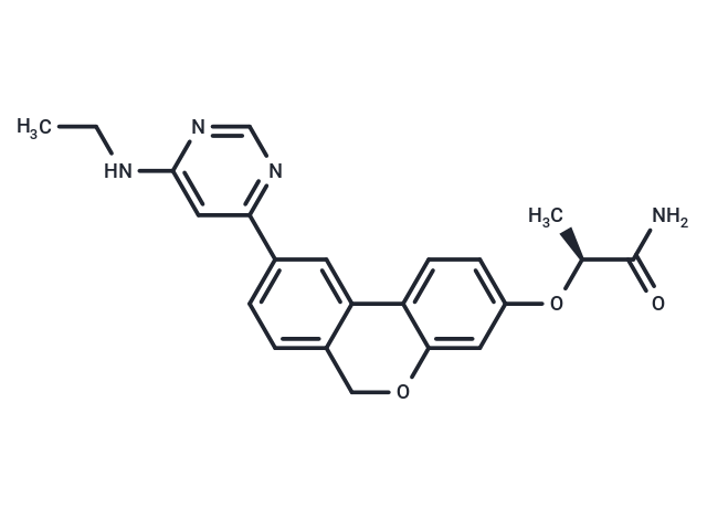 XJTU-L453