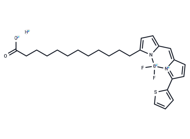 BODIPY 558/568 C12