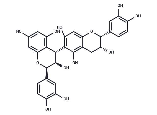 Procyanidin B5