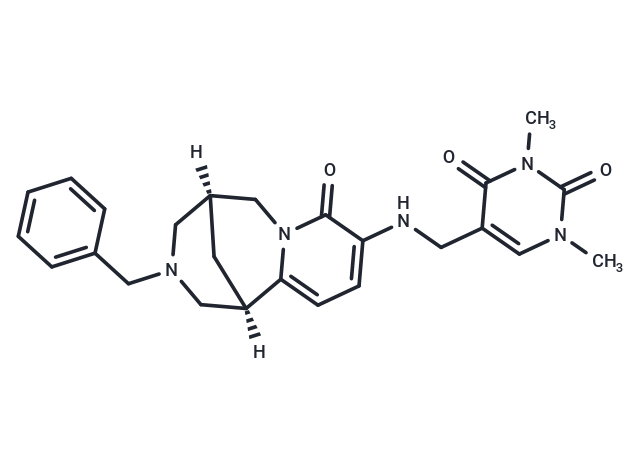 SARS-CoV-IN-6