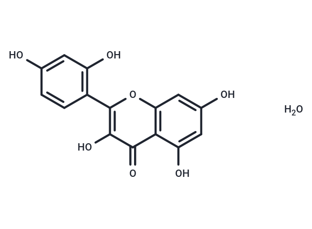 Morin monohydrate