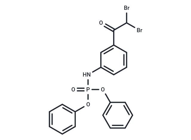 SARS-CoV-2-IN-99