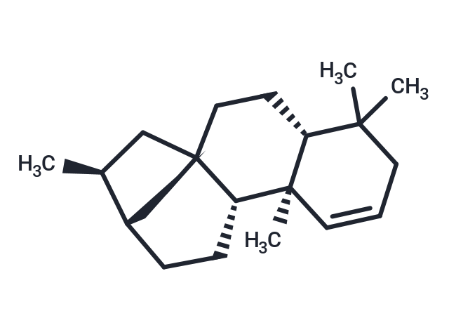 Kaurene