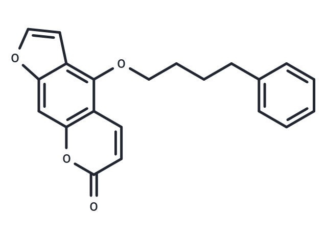 Psora 4