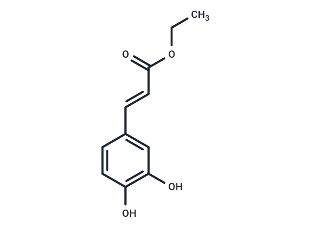 Ethyl trans-caffeate