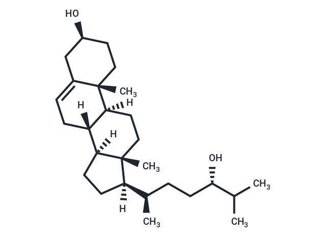 24(S)-hydroxy Cholesterol