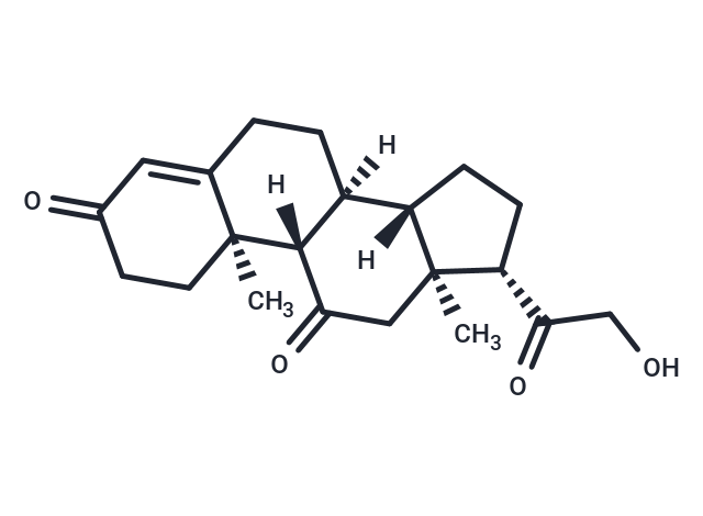 11-Dehydrocorticosterone