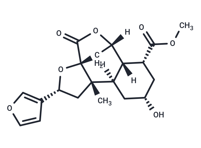 Diosbulbin A