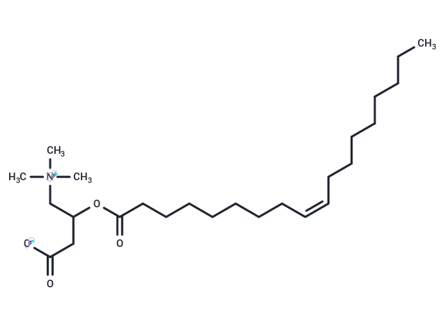 (Rac)-Oleoylcarnitine