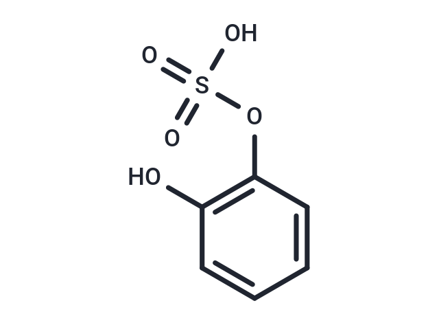 Pyrocatechol sulfate