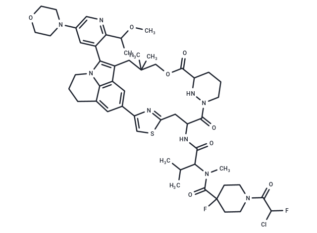 Dot1L-IN-8