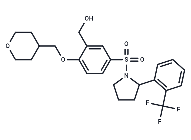 RORγt inverse agonist 32