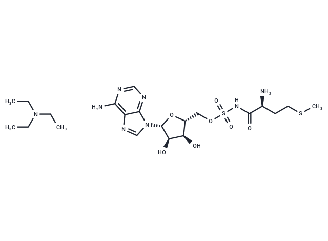 NLRP3-IN-54