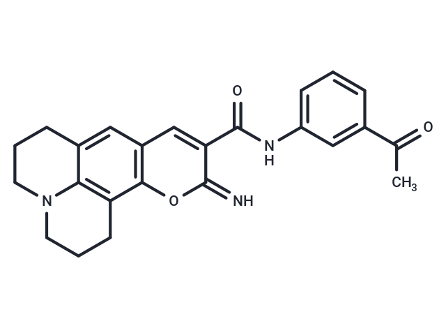 Immunoproteasome activator 1