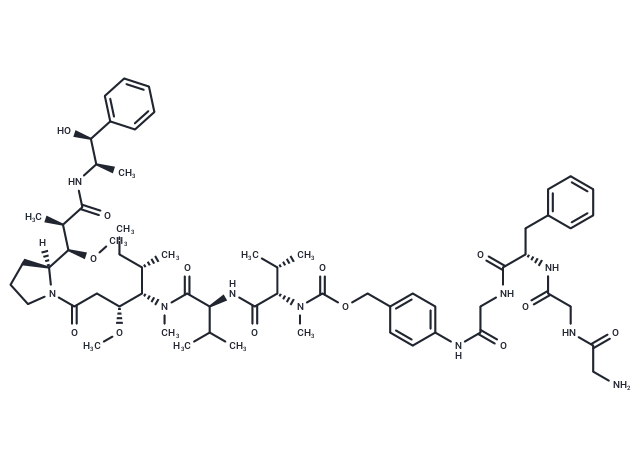 GGFG-PAB-MMAE