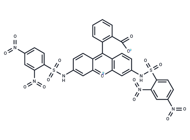 DNs-Rh