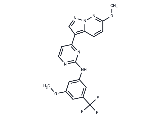 SGC-CLK-1