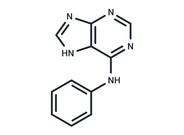 Phenyl(9H-purin-6-yl)amine