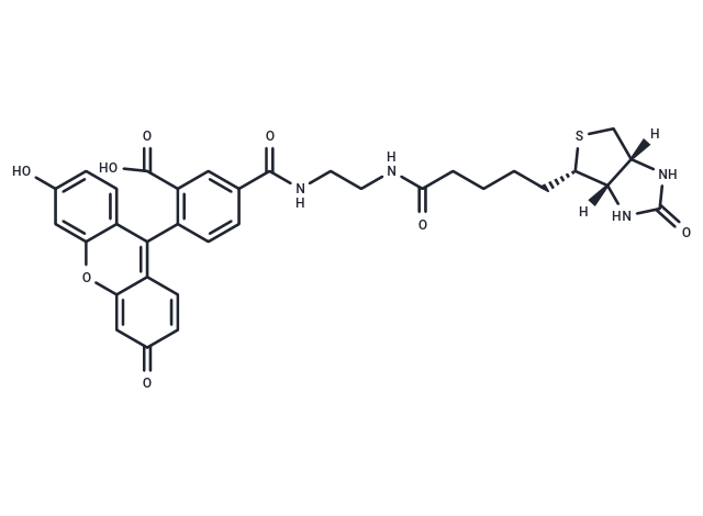 Biotin (5-fluorescein) conjugate